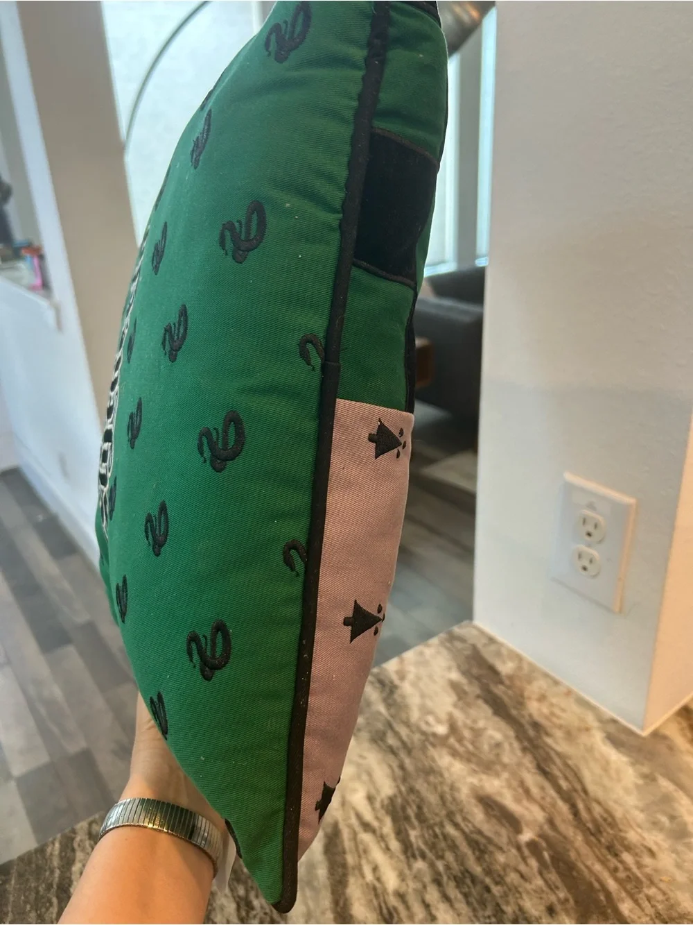 Wizarding world of Harry Potter Slytherin Accent Pillow very slight wear GUC